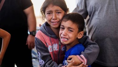 صورة بعثة أوروبية لمراقبة معبر رفح.. اليونيسف: وقف إطلاق النار لن ينهي معاناة أطفال غزة  أخبار السعودية