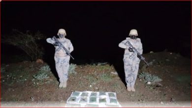 صورة حرس الحدود بمنطقة مكة يحبط تهريب 3 كيلوجرامات من الحشيش
