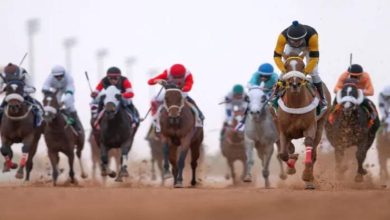 صورة ميدان الفروسية بالمدينة المنورة ينظم اليوم الحفل السادس لسباقات الخيل