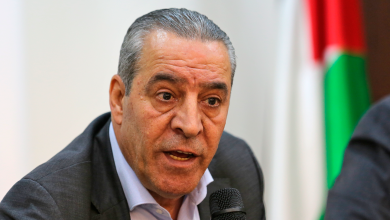 صورة الشيخ: الهجوم على مصر والأردن جزء من محاولات خبيثة لإضعاف مواقفهما