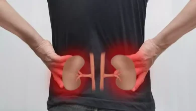 صورة 5 عادات بسيطة للحفاظ على صحة الكلى