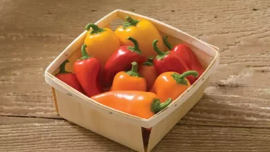 صورة احرص عليها..  أطعمة تساعد في الحفاظ على البصر
