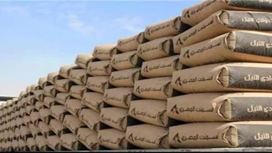 صورة انخفاض الأسمنت.. أسعار مواد البناء 27-10-2025 بالأسواق (موقع رسمي)