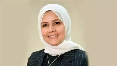 صورة رئيس مصلحة الضرائب توضح مميزات النظام الضريبي المبسط