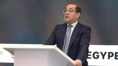 صورة منها كهرباء وطاقة وخبز وسلع.. تفاصيل تخصيص المالية 732.6 مليار جنيه للدعم بالموازنة الجديدة