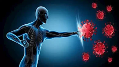 صورة 7 أطعمة تقوي مناعتك في الخريف وتحميك من نزلات البرد