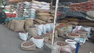 صورة “برتمودا وشبح”.. انخفاض أسعار  بلح رمضان بنسبة 50% هذا العام