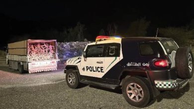صورة القوة الخاصة لأمن الطرق بمنطقة مكة تضبط مخالفًا لنظام البيئة  أخبار السعودية