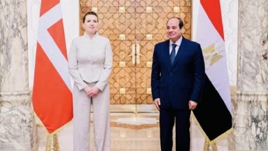صورة مصر والدنمارك: إعادة إعمار غزة دون تهجير  أخبار السعودية