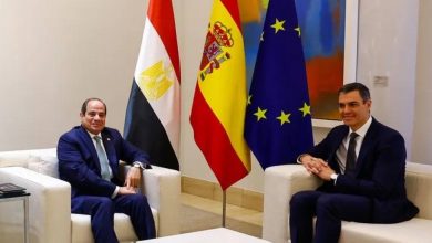 صورة السيسي يطالب المجتمع الدولي بتبني خطة إعادة إعمار غزة  أخبار السعودية