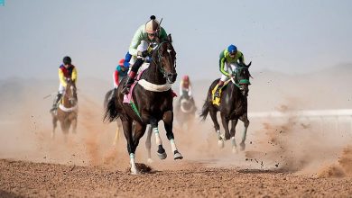 صورة ميدان سباقات الخيل بنجران يُنظّم اليوم حفل سباقه الـ13 للموسم الحالي