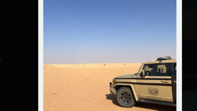 صورة ضبط مواطن لارتكابه مخالفة رعي في محمية الملك عبدالعزيز الملكية