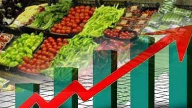 صورة الاحصاء :ارتفاع كميات الإنتاج الصناعي في فلسطين خلال آب