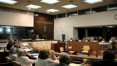 صورة القابضة للأدوية تحقق صافي أرباح 777 مليون جنيه خلال العام المالي 2023-2024