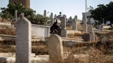 صورة حكم زيارة المقابر في العيد.. الإفتاء توضح هل جائزة أم مكروهة شرعًا