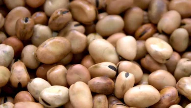 صورة انخفاض الفول والزيت.. أسعار السلع الأساسية اليوم بالأسواق