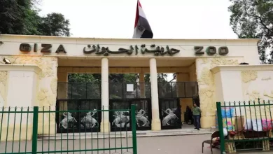 صورة آخر تطورات أعمال الإنشاء لحديقة الحيوان.. الانتهاء من شراء جميع الحيونات والفصايل الجديدة