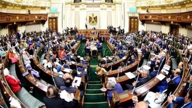صورة موازنة “شراكة مجتمع الأعمال”.. أبرز أرقام موازنة مصر 25-2026 بعد إقرار