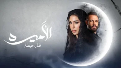 صورة مسلسل “الأميرة” الحلقة 9.. ياسمين صبري تكتشف خداع نيقولا معوض