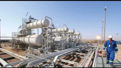 صورة 2025 عام زيادة الإنتاج.. ما أبرز اكتشافات البترول والغاز في مصر خلال الفترة الأخيرة؟