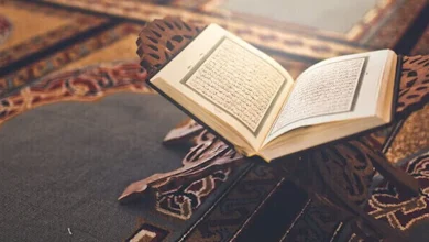 صورة “مائة عام من حكايات المشايخ والسميعة”… كتاب جديد يوثِّق نوادر عباقرة