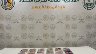 صورة حرس الحدود بمنطقة عسير يحبط تهريب 10 كيلوغرامات «حشيش»  أخبار السعودية