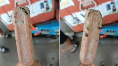 صورة صدمة.. ثعبان مُتجمِّد بقطعة «آيس كريم» في تايلند  أخبار السعودية