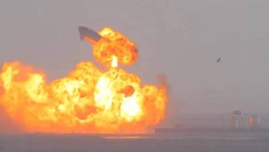 صورة «ستارشيب» يعطل 240 رحلة جوية في فلوريدا !  أخبار السعودية