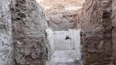 صورة مصر: العثور على مقبرة ملكية تعود لعصر الانتقال الثاني  أخبار السعودية