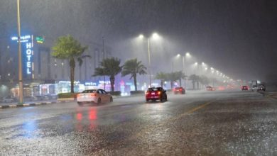 صورة «البيئة»: وادي الدواسر يسجّل أعلى كمية هطول أمطار بـ 31.0 ملم  أخبار السعودية