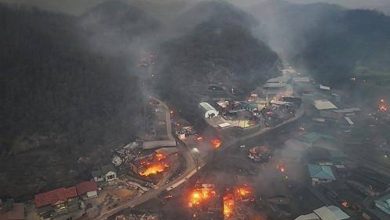 صورة مصرع 24 شخصاً في حرائق تضرب الغابات بكوريا الجنوبية  أخبار السعودية