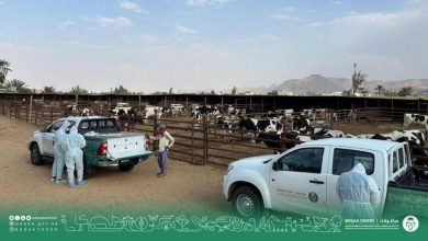 صورة «وقاء نجران» ينظم حملة توعوية بالتزامن مع اليوم العالمي لمكافحة الدرن  أخبار السعودية
