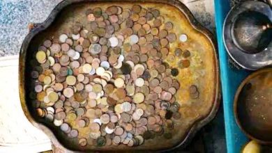 صورة كنز من 800 قطعة من العصر الحديدي  أخبار السعودية