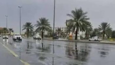 صورة «الأرصاد»: أمطار رعدية ورياح نشطة على عدة مناطق  أخبار السعودية