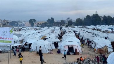 صورة صاحب خطة الجنرالات يؤيد خطة مصر بشأن غزة.. موافقة مشروطة