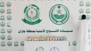 صورة القبض على شخص لترويجه 14 كيلوجرامًا من القات بمحافظة العارضة