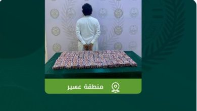 صورة القبض على شخص بمنطقة عسير لترويجه 28,768 قرصًا خاضعًا لتنظيم التداول الطبي