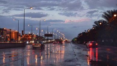 صورة الحالة المطرية التي شهدتها الرياض كانت في مجملها أمطارًا ديمية