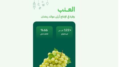 صورة وفرة في إنتاج العنب المحلي واكتفاء ذاتي يصل إلى 66%