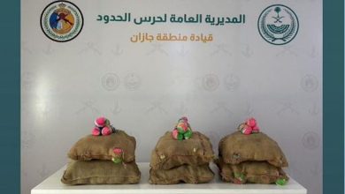 صورة إحباط تهريب 120 كيلوجرامًا من نبات القات بمنطقة جازان