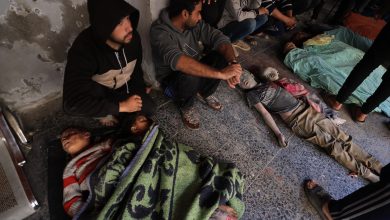 صورة 44 شهيدا و145 إصابة خلال 24 ساعة في غزة