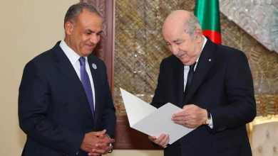 صورة وزير الخارجية المصري يسلم الرئيس الجزائري رسالة من السيسي.. وحديث حول غزة