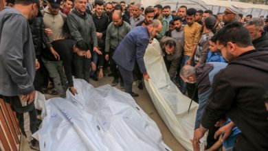صورة 8 شهداء في غارة إسرائيلية استهدفت خياما تؤوي نازحين بخانيونس (فيديو)