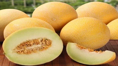 صورة ما تأثير تناول الشمام يوميا على جسمك؟