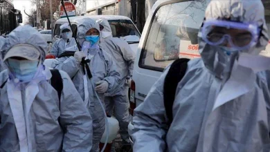صورة يسبب الوفيات في كاليفورنيا.. كل ما تريد معرفته عن فيروس هانتا وأعراضه