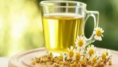 صورة 4 فوائد لتناول كوب من اليانسون على صحة الجسم