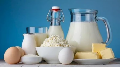 صورة يحتوي على يرقات حية.. تعرّف على أخطر نوع جبن في العالم