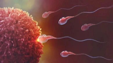 صورة دون آثار جانبية خطيرة.. “آدم” وسيلة منع حمل ذكورية فعالة