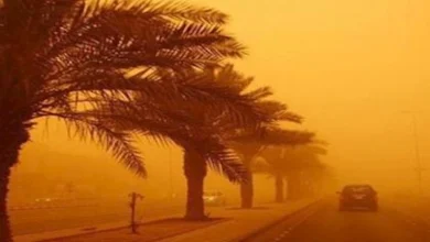 صورة عاصفة ترابية تضرب مصر| كيف تقود سيارتك بأمان في هذه الأجواء؟