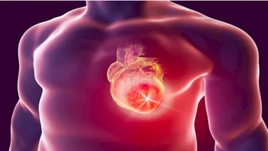 صورة دراسة: الدهون الخفية بين الأنسجة العضلية تهديد صامت لصحة القلب والجسم